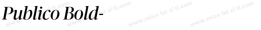 Publico Bold字体转换